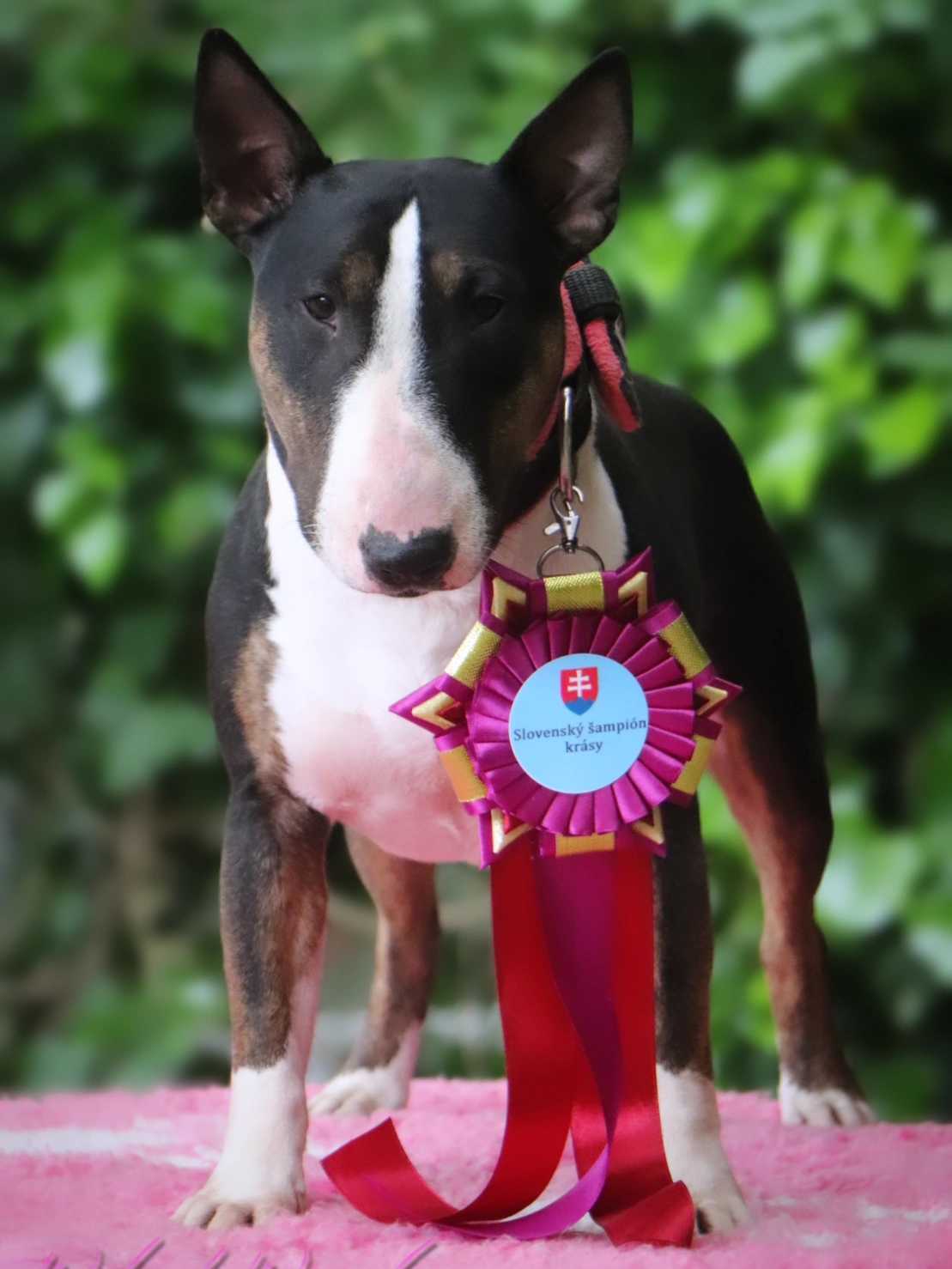 PRADA iz Tsnyanskoi ohoty